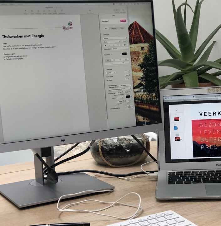 waar_lopen_thuiswerkers_tegenaan